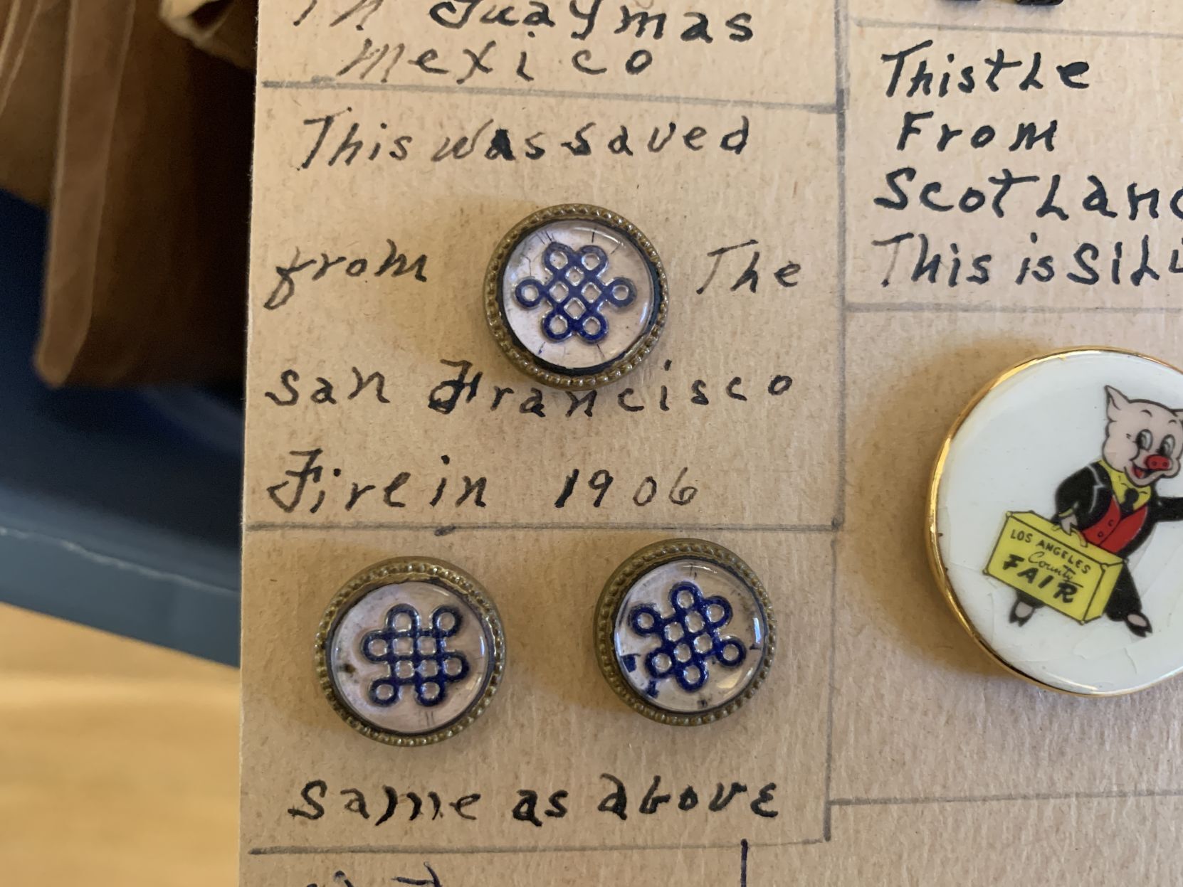 A prized button collection